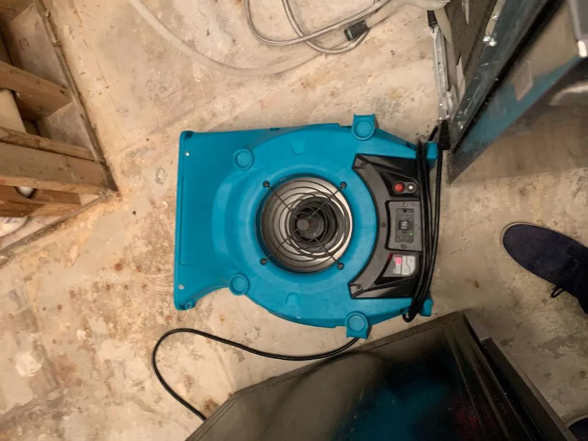 Air mover drying equipment for Mold Remediation & Removal in Plano